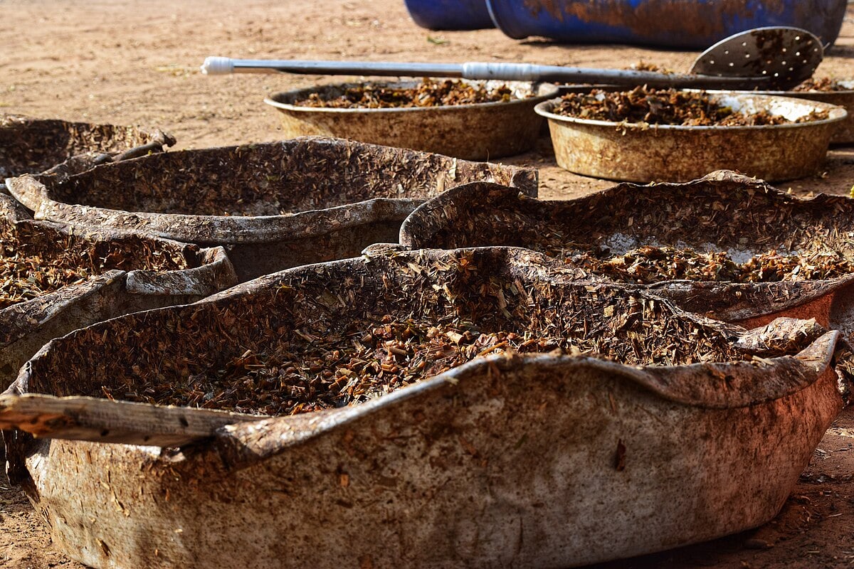 단백질을 꾸준히 채우는 방법 커버 이미지